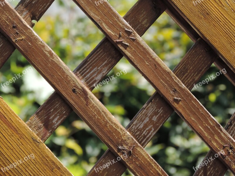 Garden Fence Wooden Slats Wood Wood Fence Paling