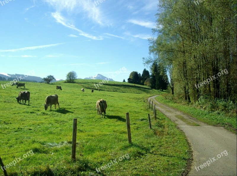 Allgäu Away Nature Ruins Green