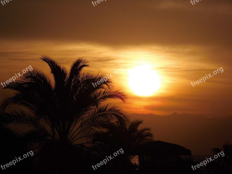 Sun Sunset Palm Trees Afterglow Vacations