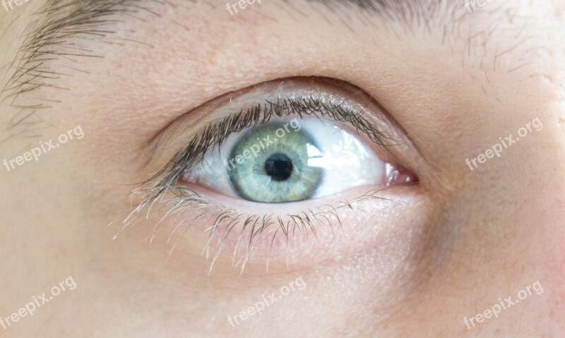 Eye Iris Green Blue Face