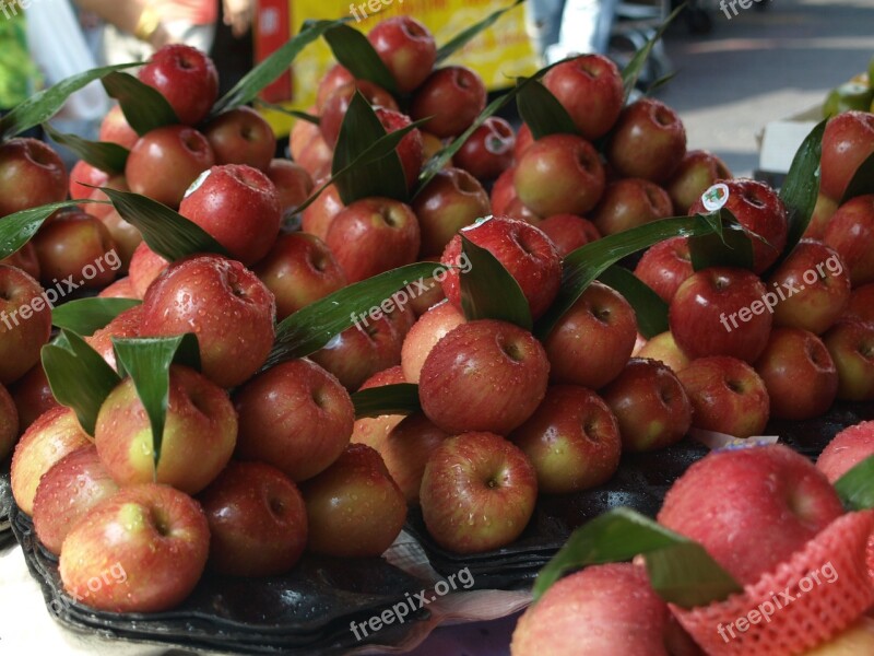 Apple Red Food Fruit Summer