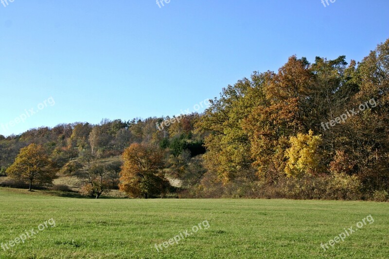 Autumn Landscape Landscape Autumn Mood Autumn Forest