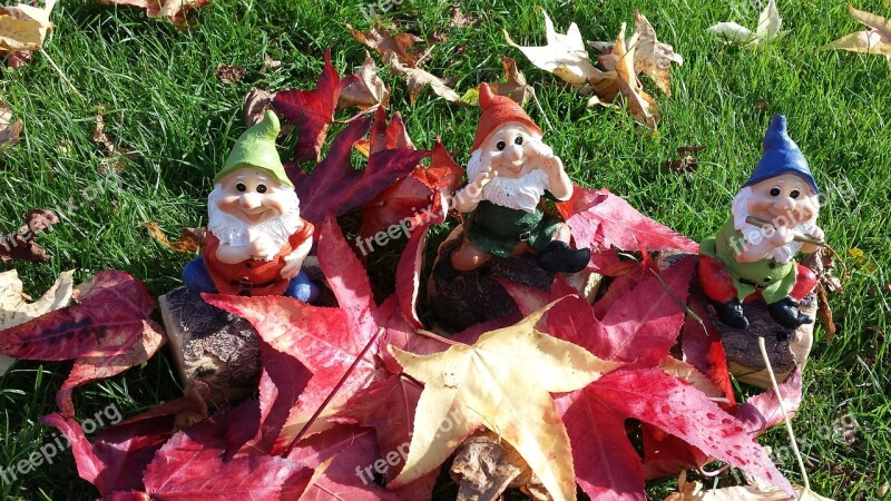 Garden Gnomes Dwarf Autumn Leaves Gnome