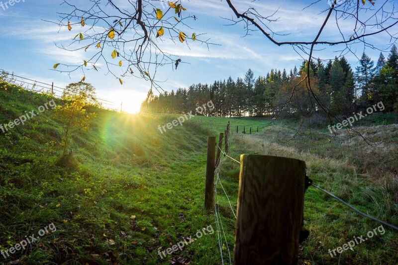 Autumn Sun Fence Forest Field