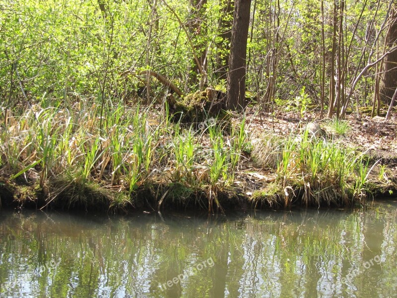 Spreewald Bank Fouling Idyll Free Photos