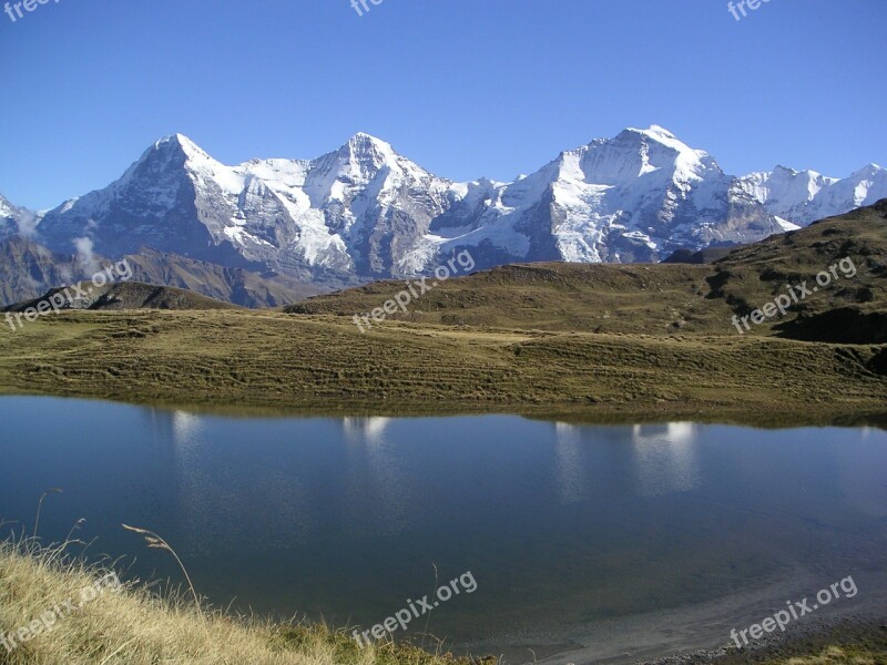 Eiger Monk Virgin Mountains Grindelwald