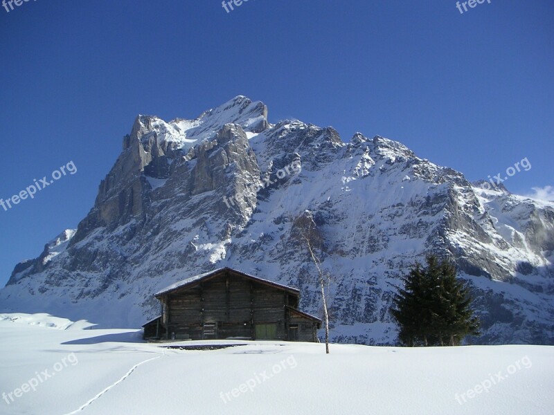 Wetterhorn Grindelwald Winter Switzerland Alpine