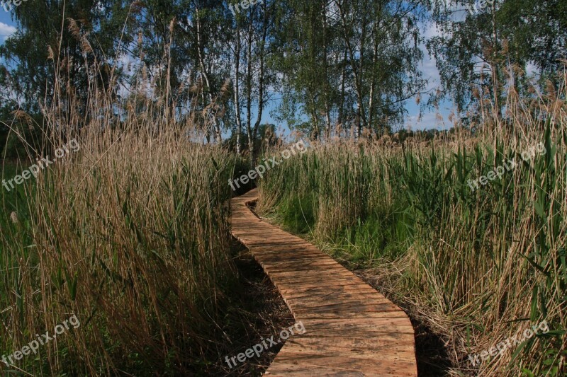 Wetland Hate Pavement Jablonne In Podjestedi Free Photos