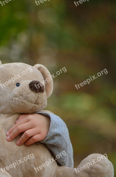 Soft Toy Bear Cute Sweet Stuffed Animal