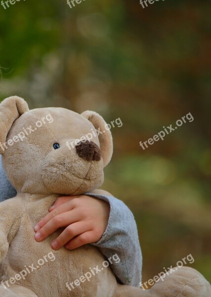 Soft Toy Bear Cute Sweet Stuffed Animal