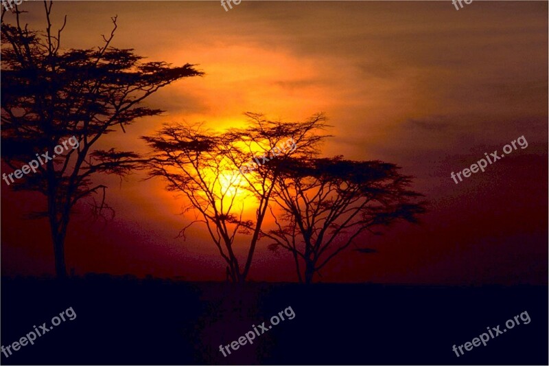 Savannah Sunset Africa Landscape Sky