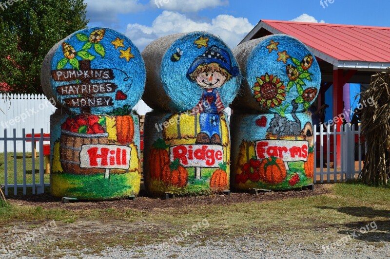 Pumpkin Farm Attraction Orange Autumn