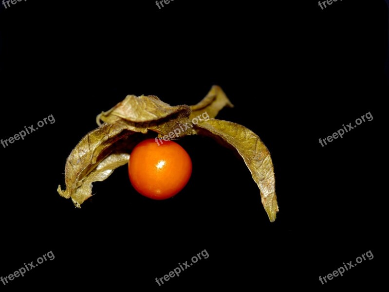 Physalis Vitamins Orange Fruit Exotic