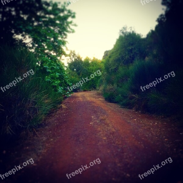 Country Road Rural Outdoors Green Nature