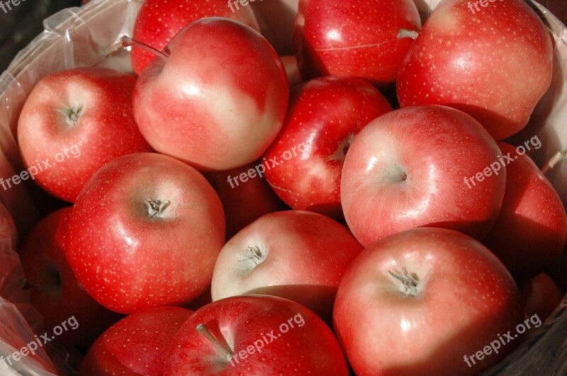 Apples Fall Red Harvest Season