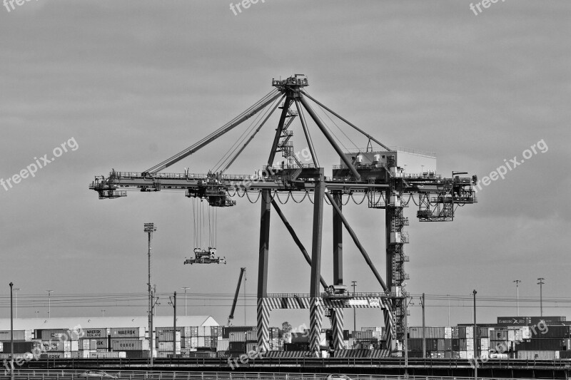 Crane Harbor Black And White Industrial Free Photos