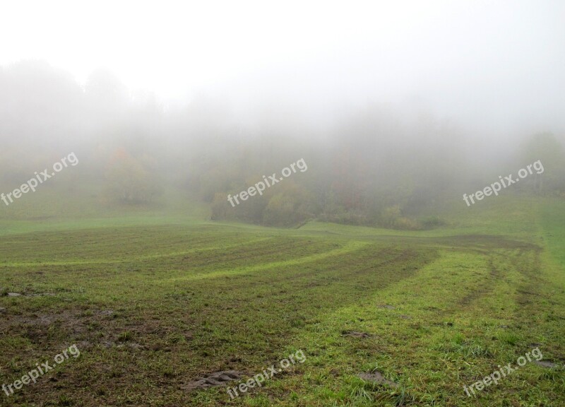 Autumn Fog Arable Nature Free Photos