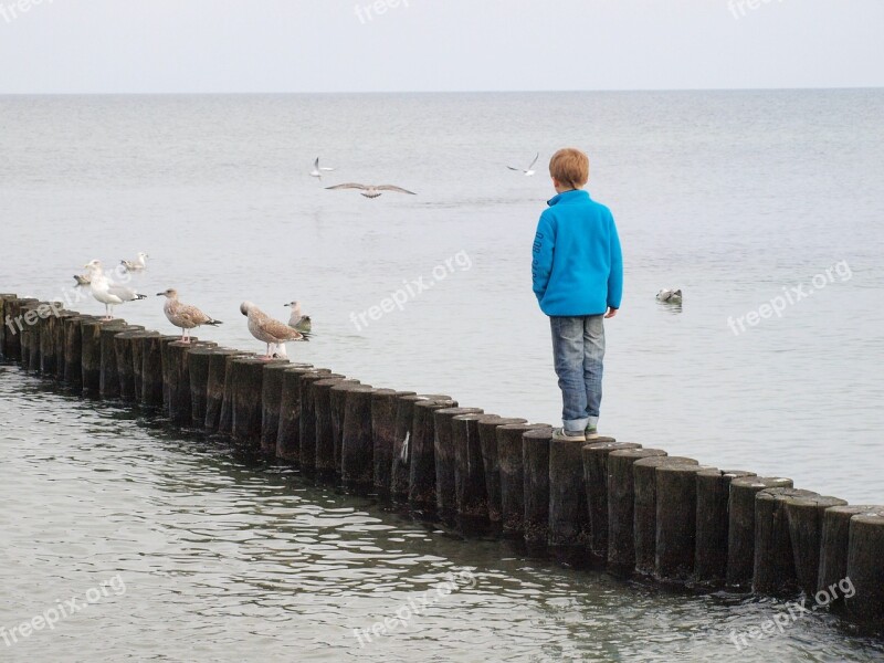 Groynes Child Sea Wide Dared