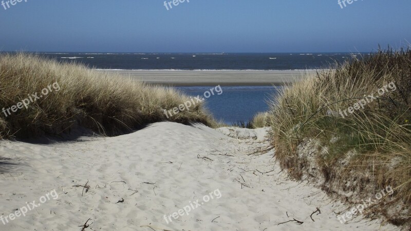 Beach Sea Dunes Sand Road Sand