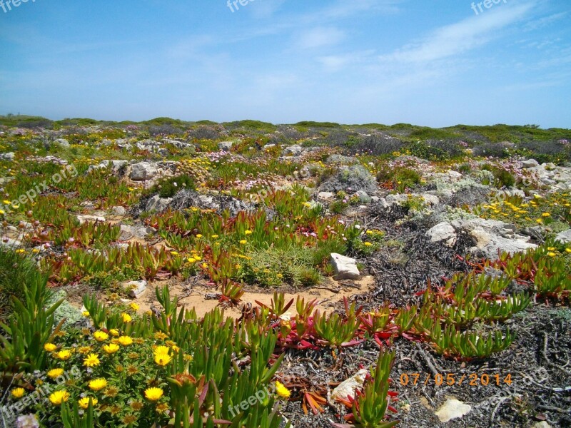 Portugal Algarve Coast Nature Free Photos