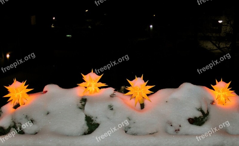 Poinsettia Winter Snow Lighting Shining