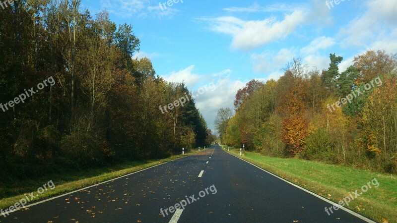 Autumn Road Autumn Day Forest Free Photos