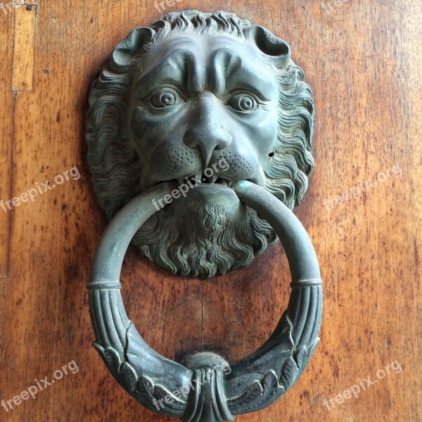 Doorknocker Lion Door Bronze Free Photos