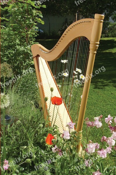 Harp Music Musical Instrument Instrument Stringed Instrument