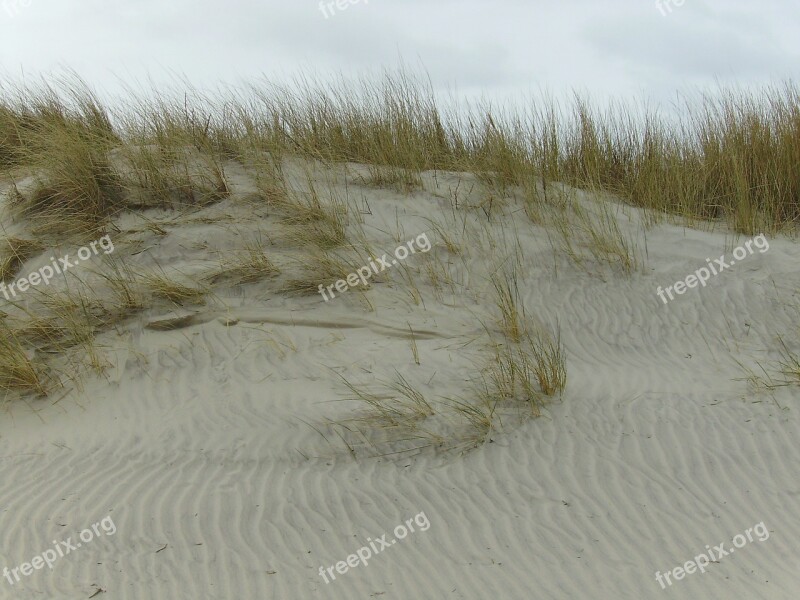 Dunes Sand Beach Free Photos