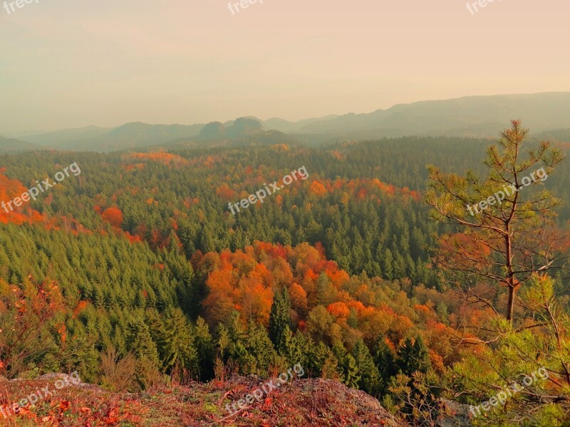 Autumn Forest Saxon Switzerland Autumn Evening Autumn Forest