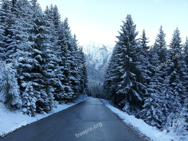 Road Winter Snow Wintry White