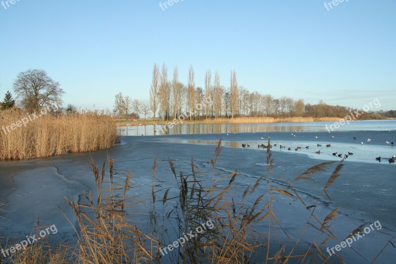 Winter Frozen Lake Holland Cold Netherlands