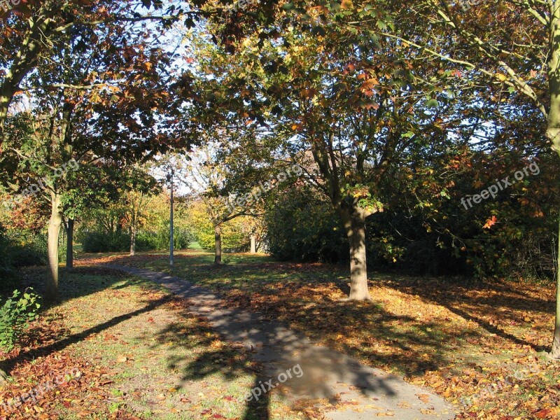 Park Autumn Fall Nature Forest