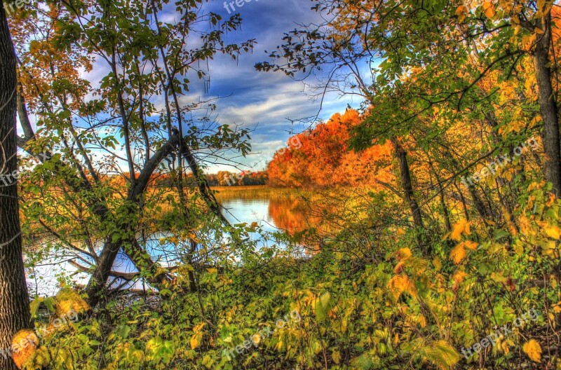 Autumn Fall Forest Colors Nature