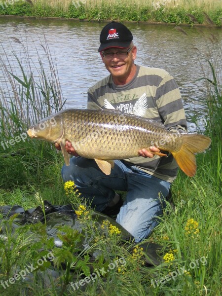 Carp Zuid Willemsvaart Summer Fish Fishing