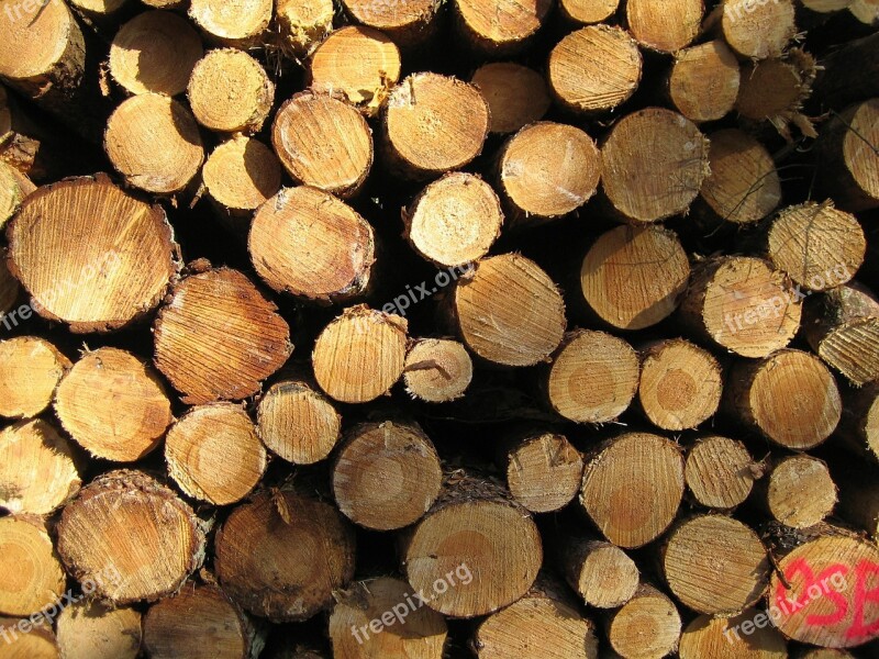 Wood Nature Durable Logging Free Photos