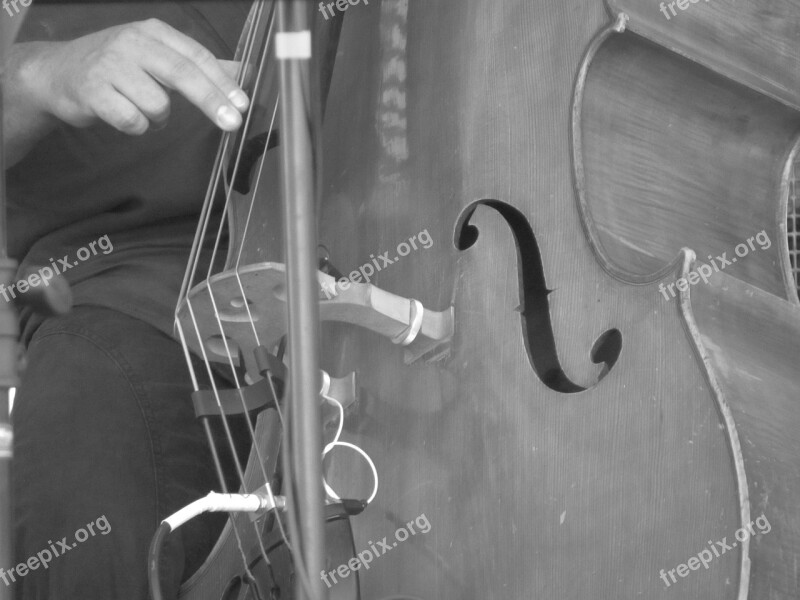 Double Bass Music Jazz Free Photos