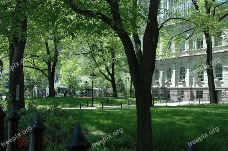 Nyc City Hall Park Building Trees