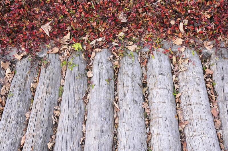 Wood Bridge Autumn Leaves Structure