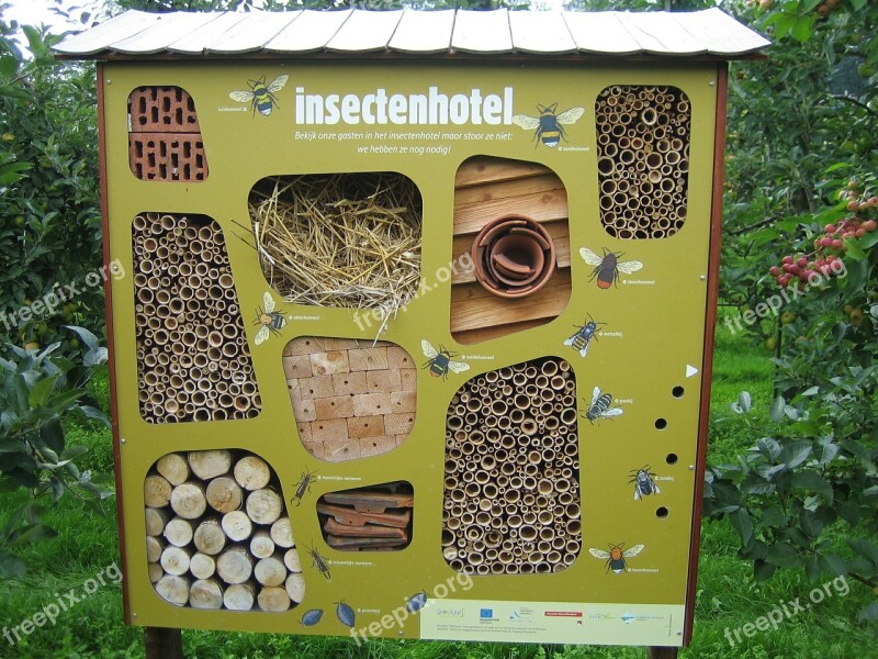 Insects Hotel Bees Nature Free Photos