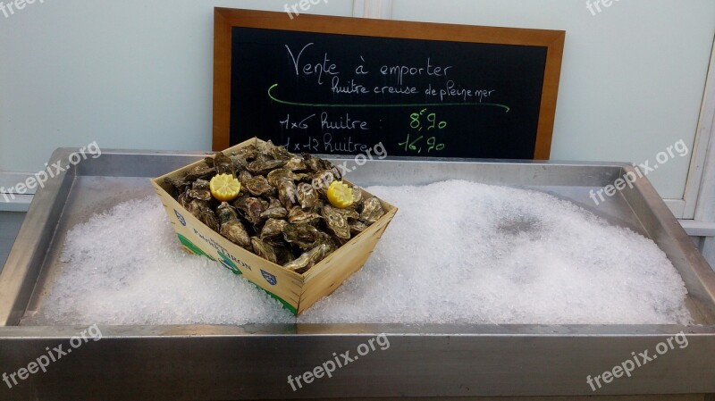 Oysters Etretat France Normandy Food