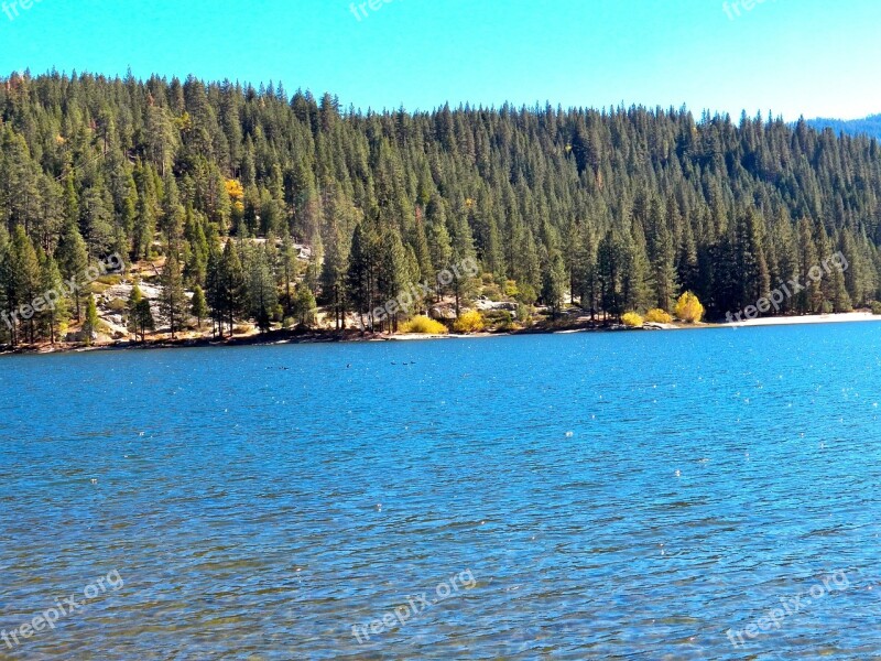 Pine Forest Lake Kings Canyon Water Nature