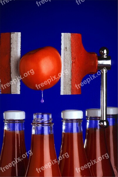 Ketchup Ingredient Tomato Sauce Condiment