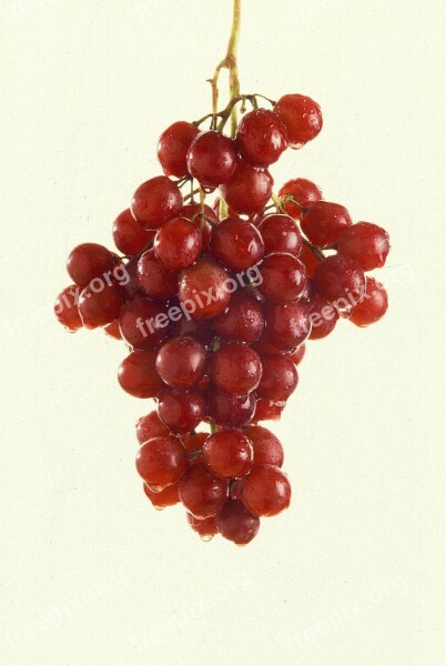 Grapes Autumn Seedless Light Green Agriculture Cluster