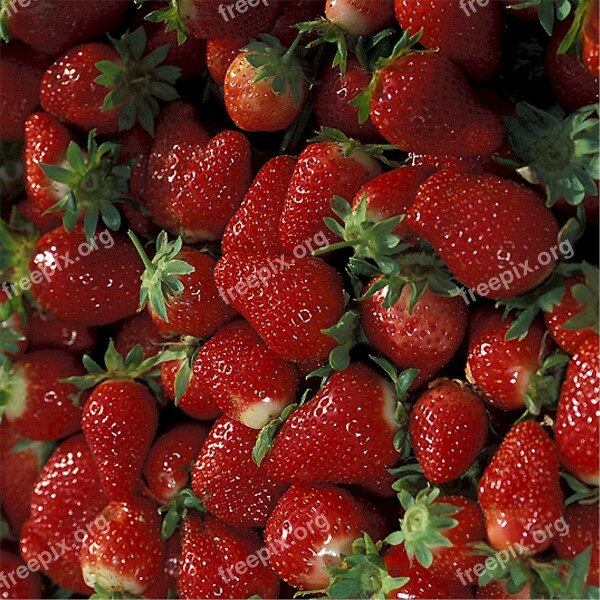 Strawberries Ripe Fruit Fresh Red