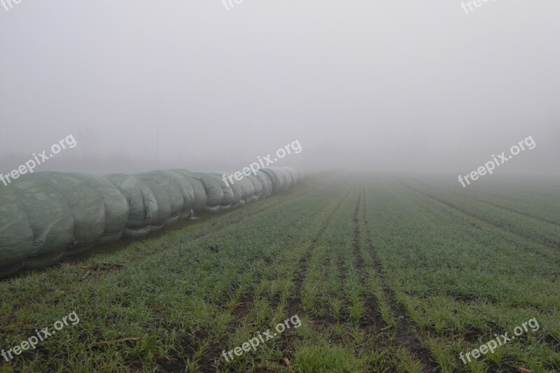 Fog Field Harvest Straw Bales Mood