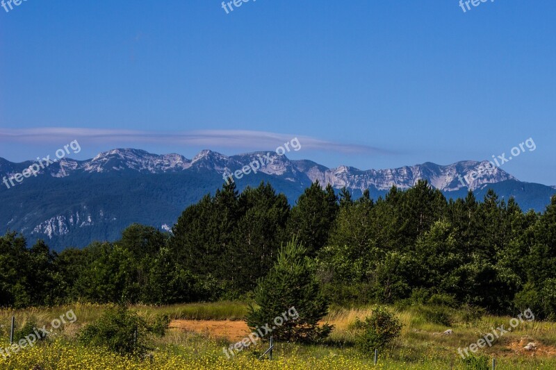 Mountain Forest Landscape Nature Green