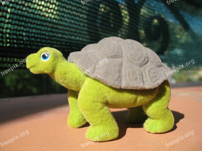 Turtle Toy Reptile Free Photos