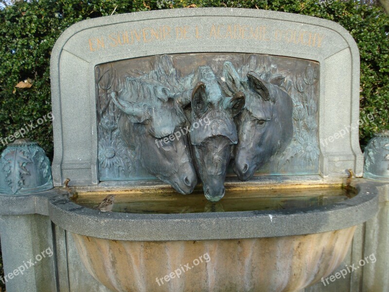 Fountain Three Donkeys Donkeys Ouchy Lausanne