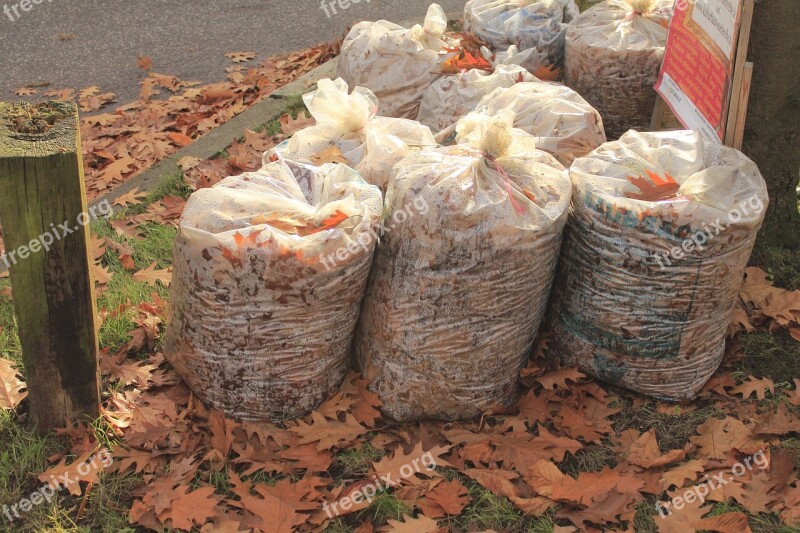 Leaves Leaf Bag Autumn Garbage Disposal